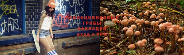 марихуана Абаза