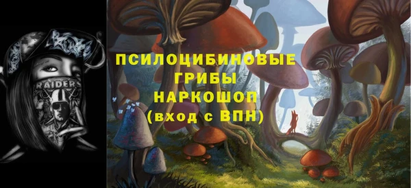 сатива Абинск