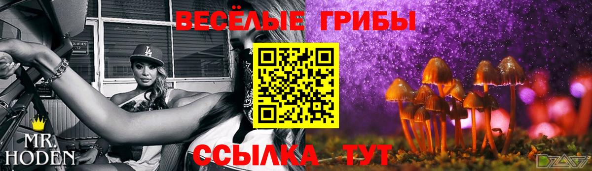 Галлюциногенные грибы ЛСД  Вход с VPN  Псилоцибиновые грибы прущие грибы  Златоуст 